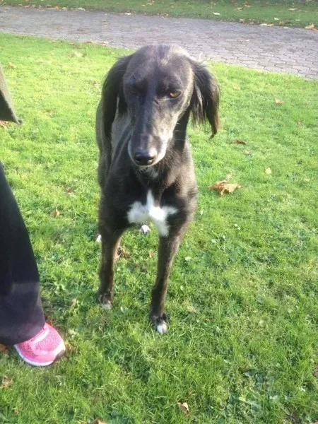 14975755 197064474082539 1324497077 o