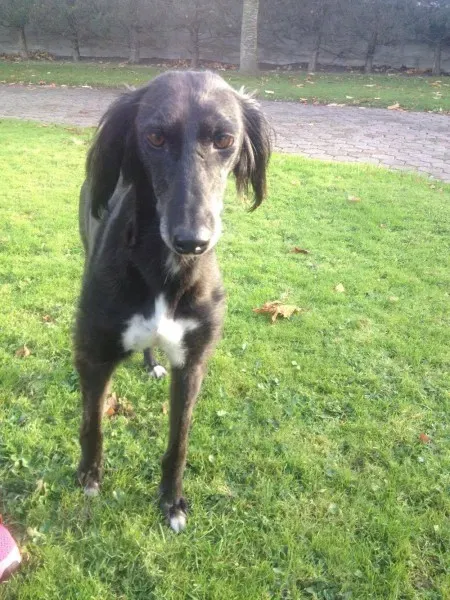 14975949 197064547415865 681588597 o