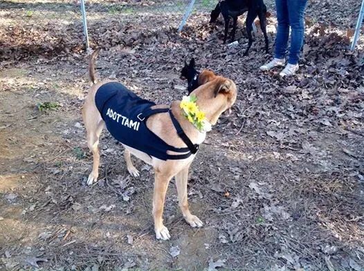 1497719 10202378225109704 469678908 n