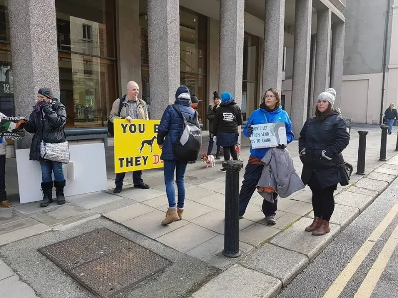 14980695 1486229694726015 2821443347159871572 n