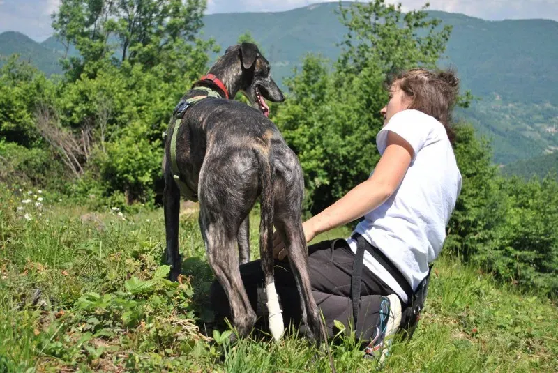 1498753 677090572352118 8487017098089295096 o