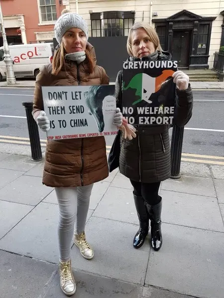 14991849 1486228774726107 1426960755288857179 n