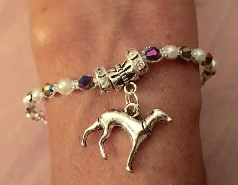 14991924 10208712794389649 5431689025246650542 n