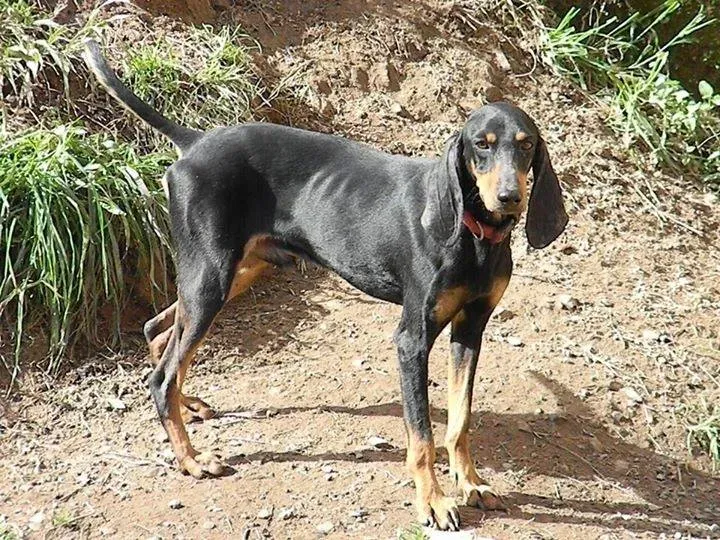 1499602 10203016140586902 1399651738 n