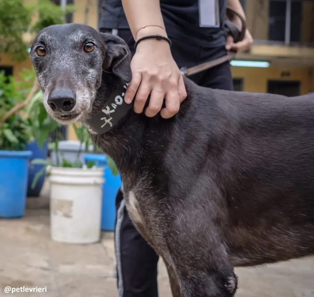 15 DSCF3461 1024x970