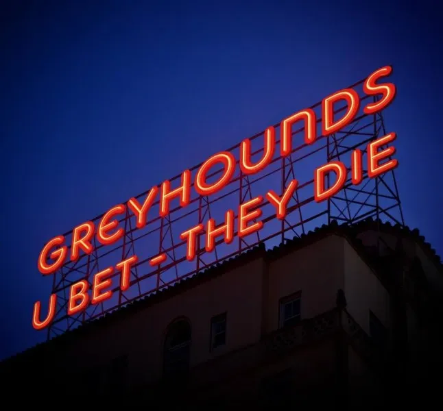 15000841 549777148550843 4839265638130093709 o