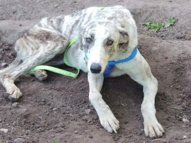 15002462 1262981200429152 5847156039088443197 o