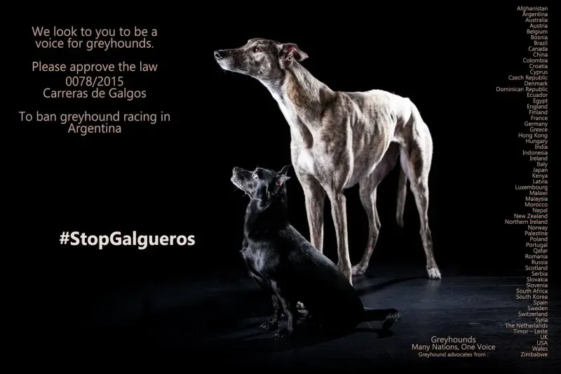 15003386 10205741643579997 417083973740026286 o