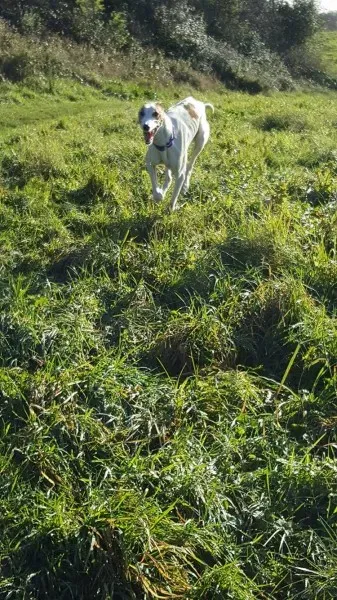 15007594 10209793111358056 381832462 o