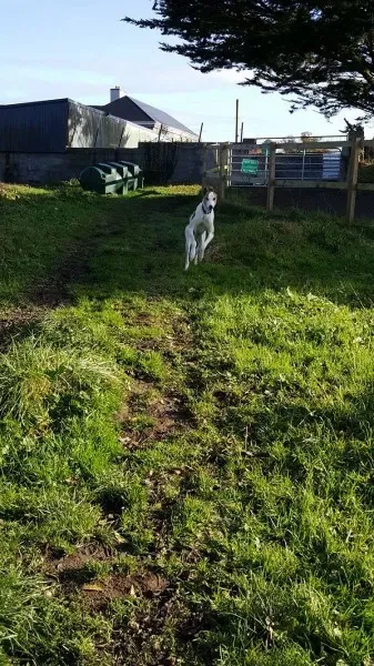 15007785 10209793111598062 2106595453 o