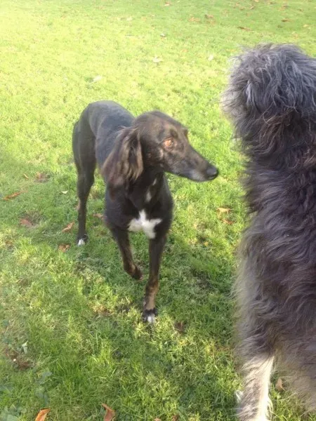 15007931 197065087415811 109823478 o