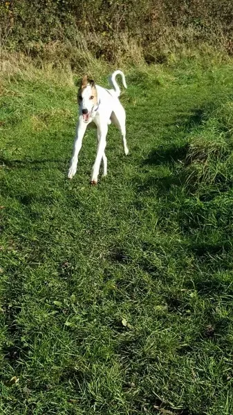 15007937 10209793109758016 306005356 o