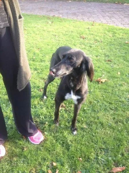 15007994 197064944082492 1149692959 o