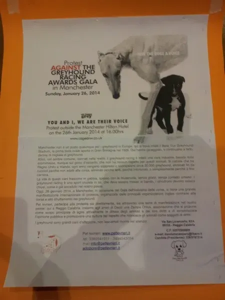 1501262 10202446067225411 1935511268 o