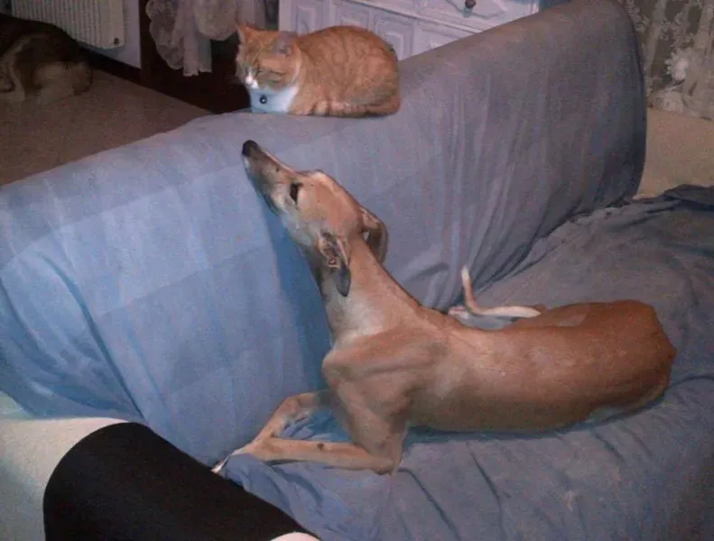 1501671 775562455860945 6990960737467575169 n