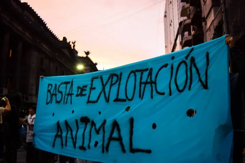 15025115 705332772950838 7115119246645043855 o