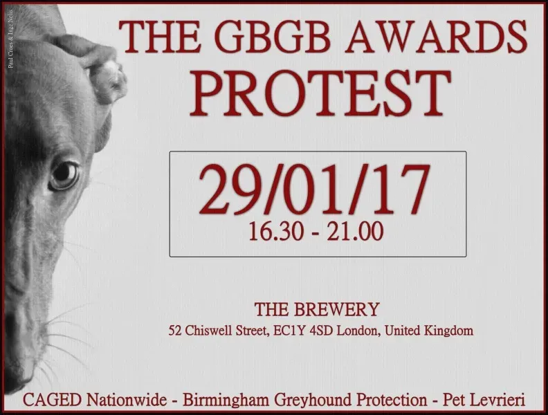 15025359 550735855121639 8855310306859522492 o 1