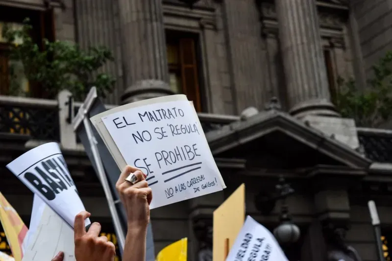 15025627 705332849617497 5201159023962757302 o