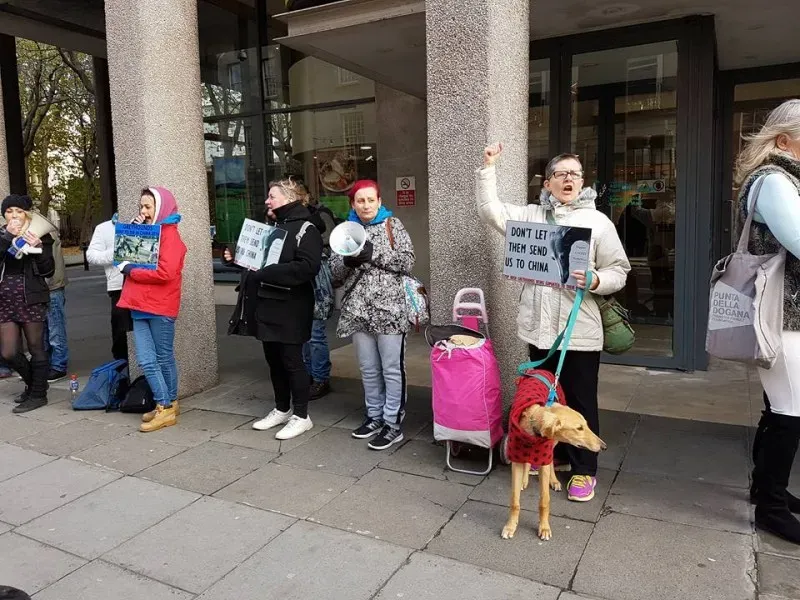 15027429 1486229164726068 4243001919349646933 n