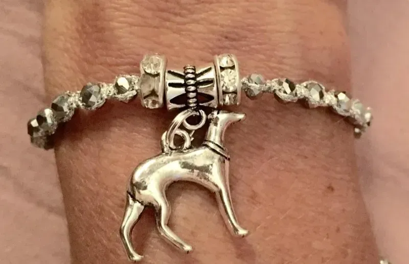 15027548 10208712793589629 3059532255566152920 n