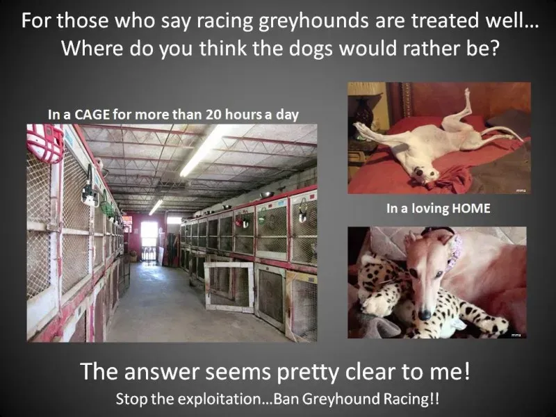 1502764 10152304853108354 3624203785604875206 o