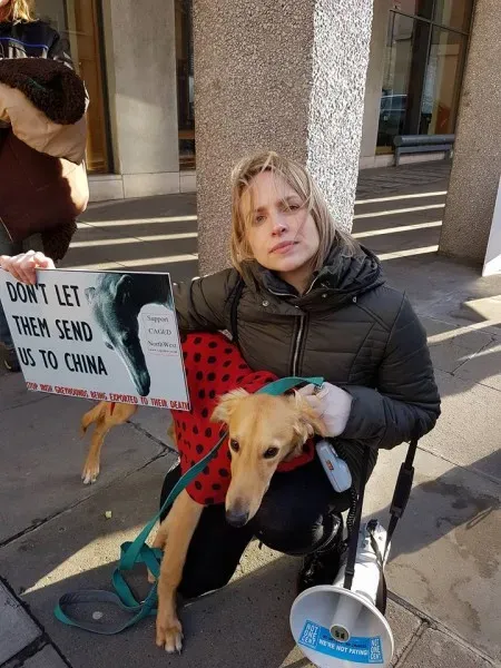 15027658 1486229421392709 1054823321816101439 n