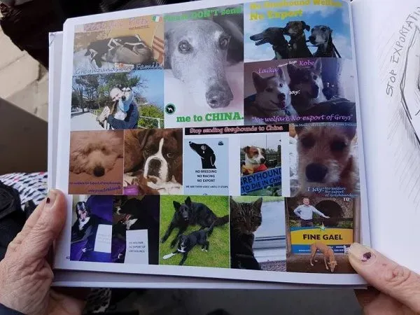 15027795 1486229201392731 1411602453457625934 n e1479140742144