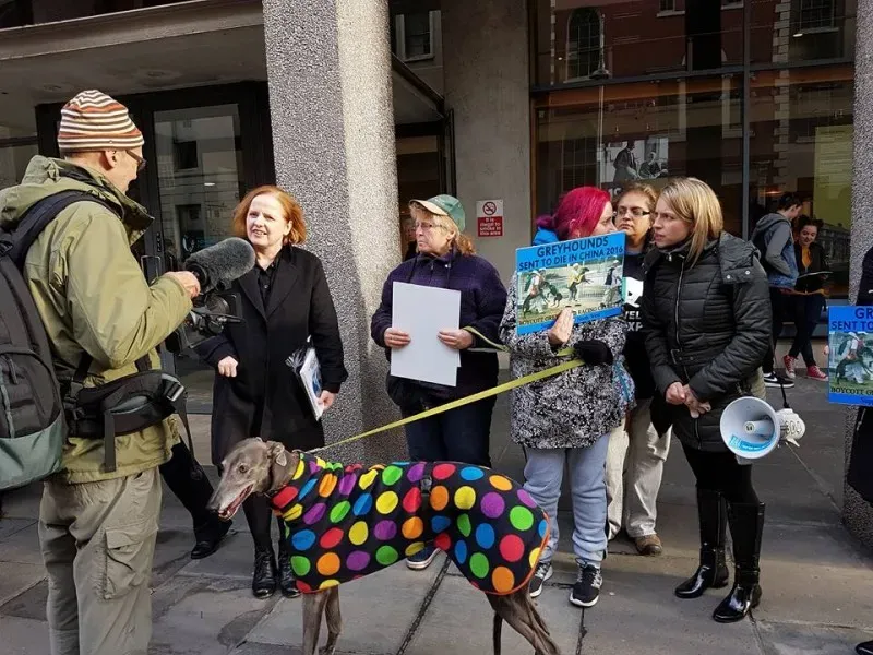 15032084 1486229614726023 7148924415398720359 n