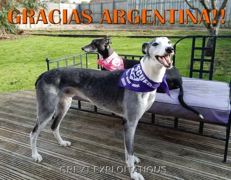 15032712 1156716664381497 4612052061267871379 n