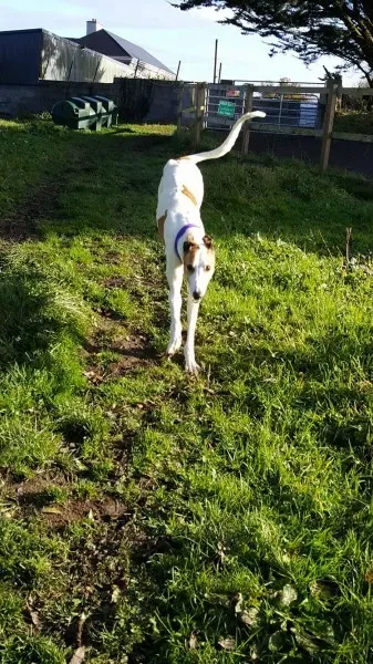 15034425 10209793111238053 2098151085 o