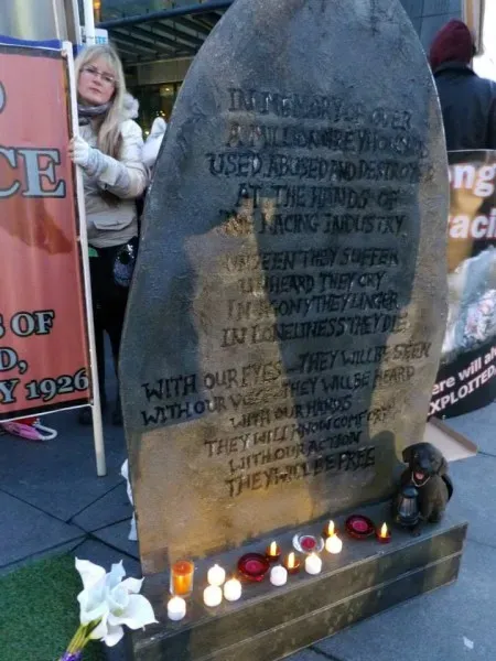 1503445 550568888384584 23570096 n