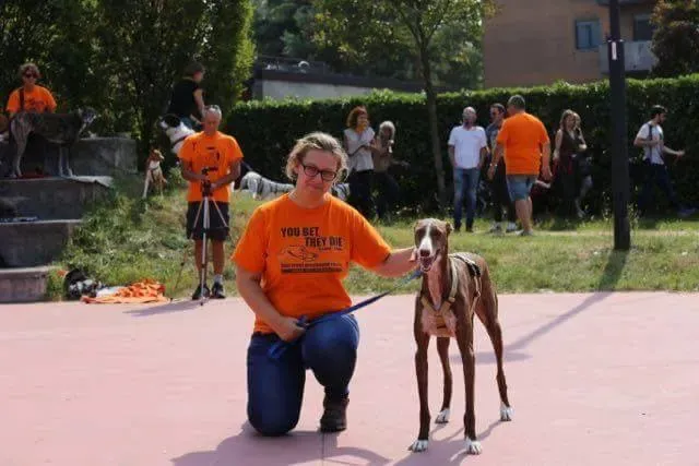 15036230 342541852784653 4752344774974392065 n