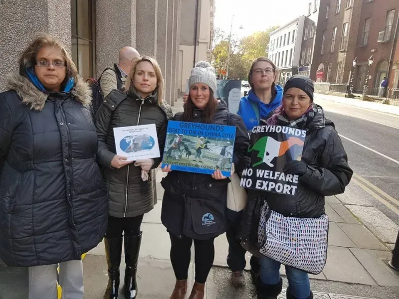 15036266 1486228511392800 8679120155126182154 n