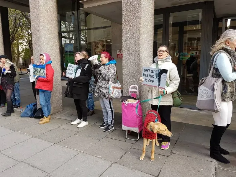 15036269 1486229831392668 8946928348443306337 n