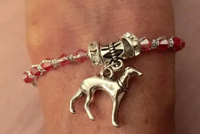 15036351 10208712793669631 3743280309415458616 n