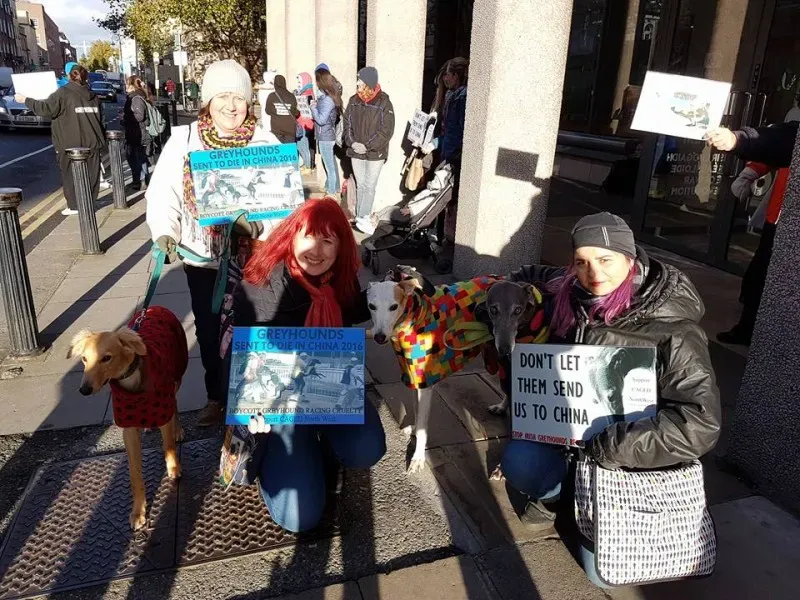 15036438 1486229004726084 3032715956710583010 n