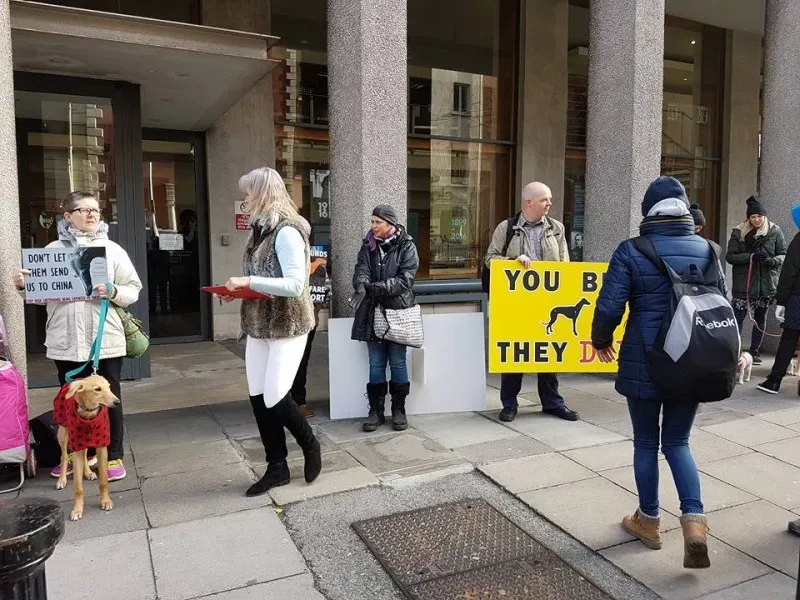 15036439 1486229781392673 6935440425851274700 n