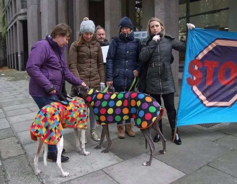 15036563 1486229564726028 8806391704843072812 n