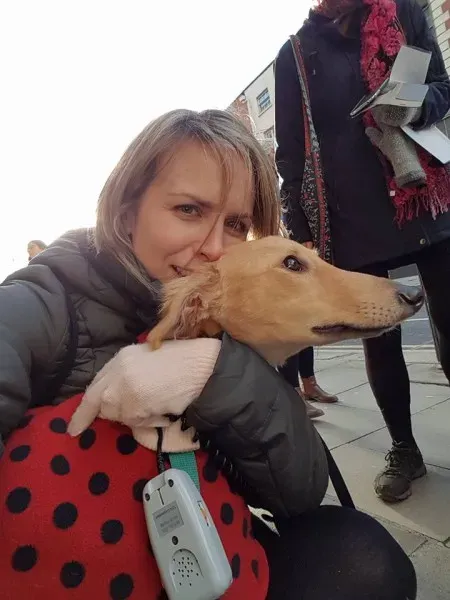 15036734 1486228711392780 6400359544287579218 n