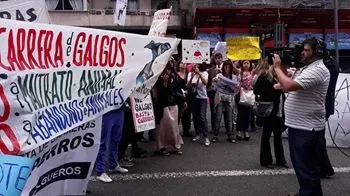 15037083 10211399346403512 5226002671772924701 n