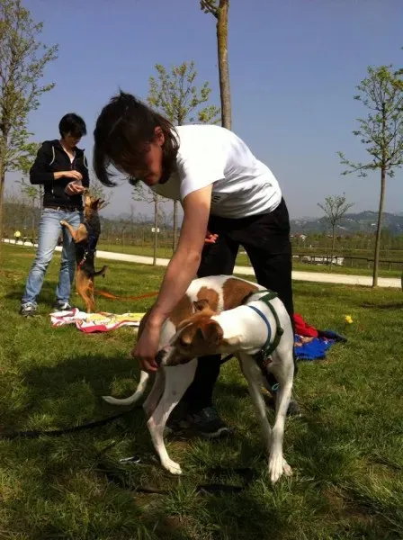 1503910 729196640466395 8144925977033852670 n