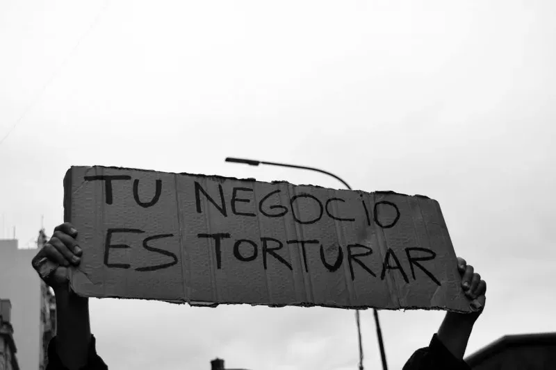 15042280 705334509617331 1707065971327344573 o