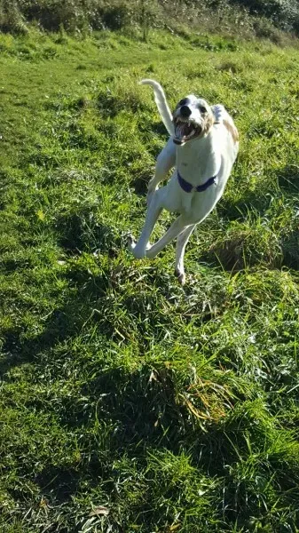 15045332 10209793110438033 572760213 o