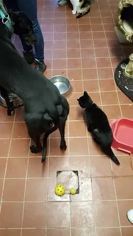 15045666 10209794900762790 1512854122 n