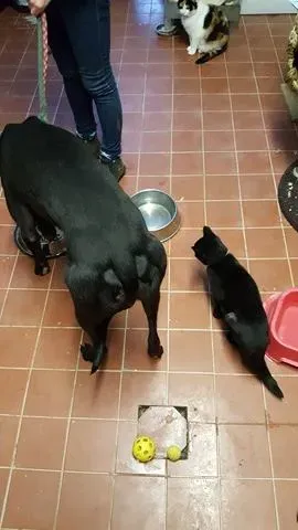 15045816 10209794900642787 440942929 n