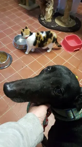 15046373 10209798109563008 976358220 n