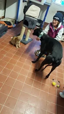 15049549 10209794901402806 2090713898 n