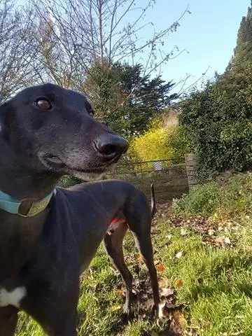 15050239 10209854931783528 452405060 n