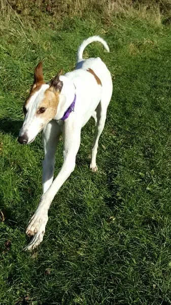 15053298 10209793109718015 1750114215 o