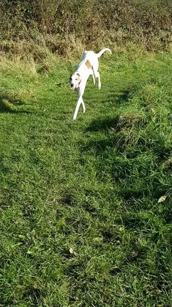 15053430 10209793110478034 930420071 o